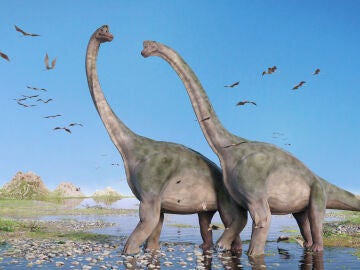 Dinosaurio diplodocus