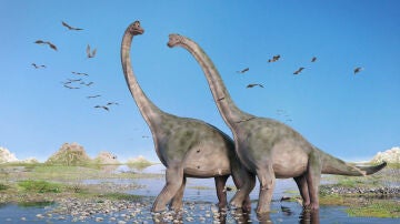 Dinosaurio diplodocus