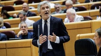 El ministro del Interior, Fernando Grande-Marlaska, en el Senado este martes.