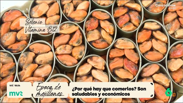 Llegan los mejores meses para consumir el mejill&oacute;n, el 'oro de las r&iacute;as gallegas' que adem&aacute;s de contener una enorme cantidad de nutrientes y ser una joya para la cocina, tambi&eacute;n es apto para todos los bolsillos.