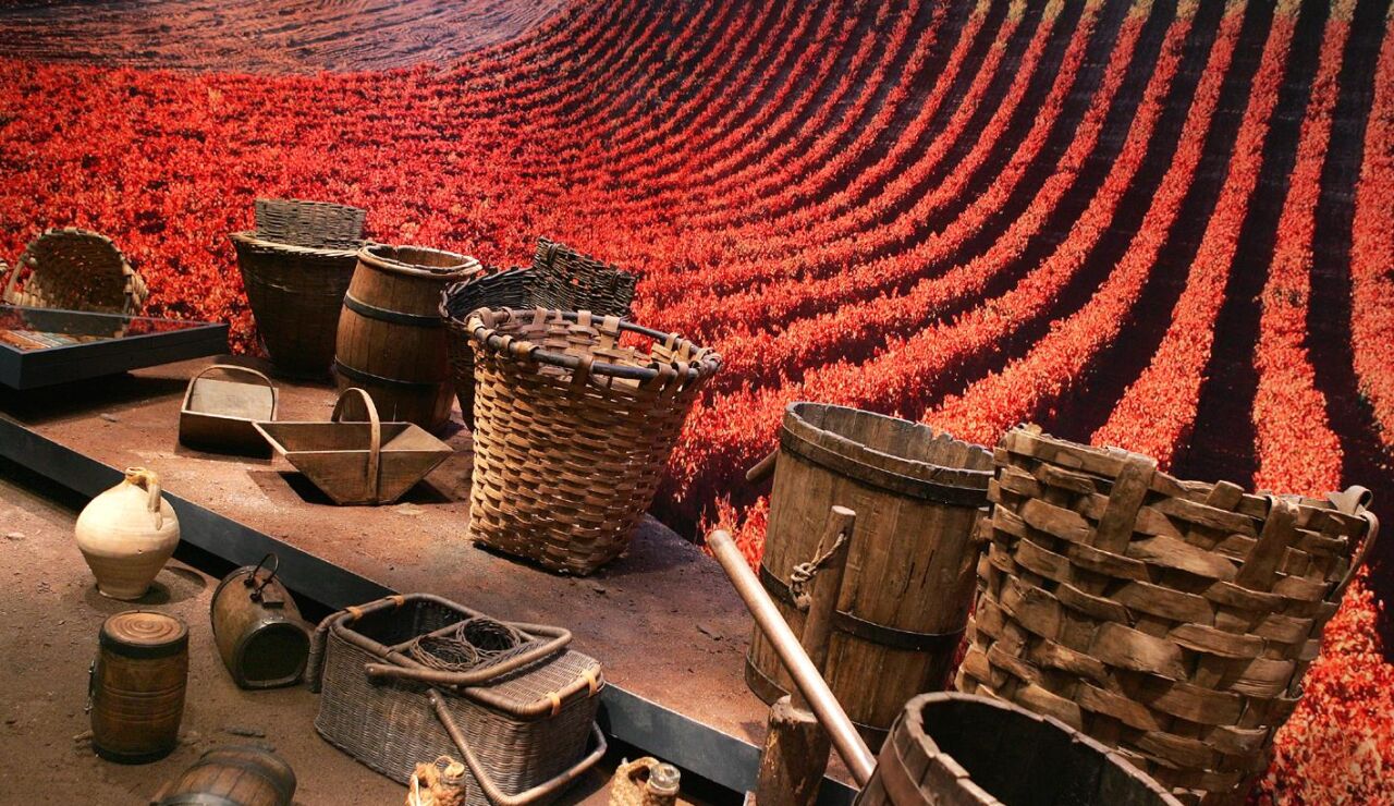 Cultura del Vino. La Rioja