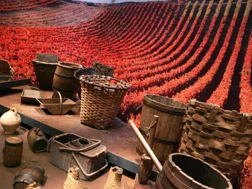 Cultura del Vino. La Rioja Cultura del Vino. La Rioja