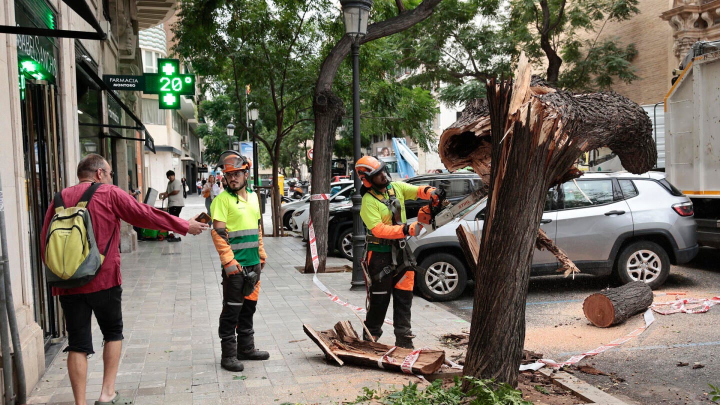 Bomberos y operarios retiran los &aacute;rboles ca&iacute;dos por la lluvia en Valencia