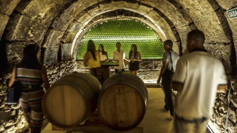 Cata en bodega. La Rioja