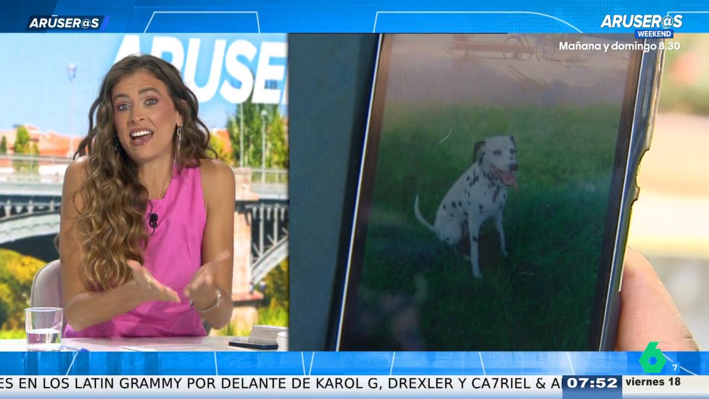 El 83% de los espa&ntilde;oles ya no concibe una foto familiar sin su perro: "Es un miembro m&aacute;s"
