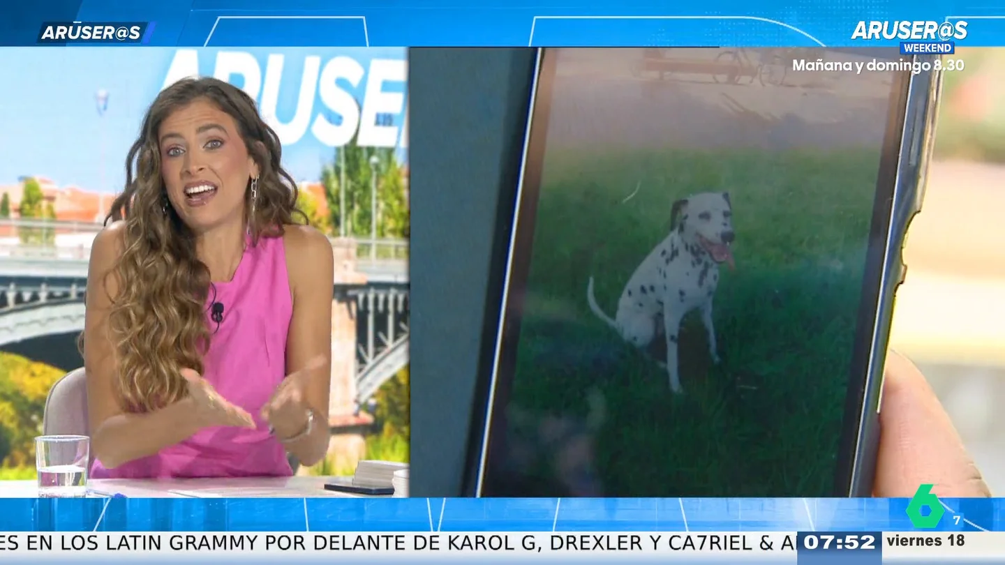 El 83% de los españoles ya no concibe una foto familiar sin su perro: "Es un miembro más" El 83% de los españoles ya no concibe una foto familiar sin su perro: "Es un miembro más"