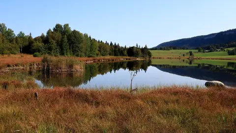 Jura Jura