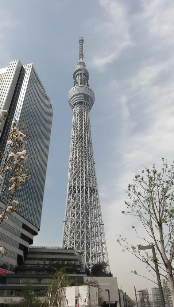 Tokyo Skytree Tokyo Skytree