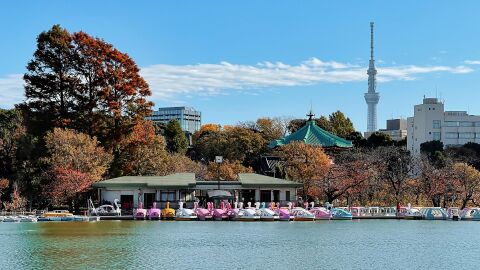 Panorámica de Tokio con Tokyo Skytree al fondo