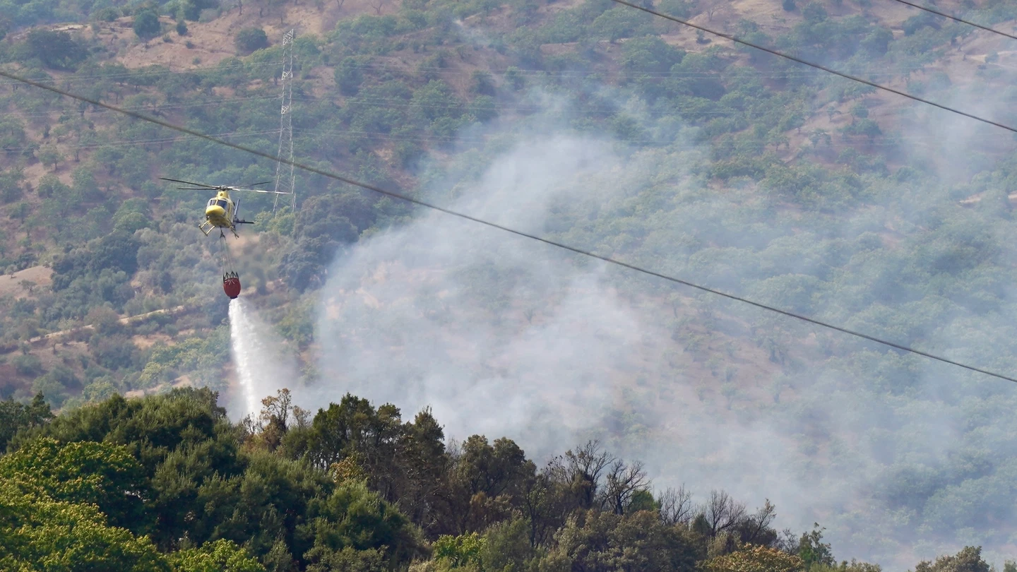 Imágenes del incendio forestal en Igualeja (Málaga) Imágenes del incendio forestal en Igualeja (Málaga)