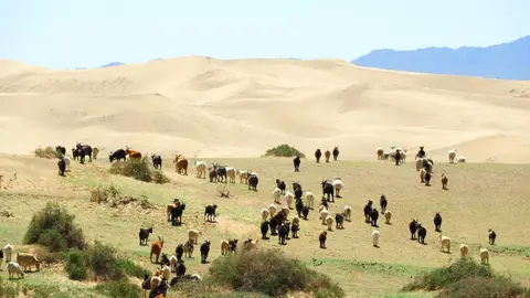 Mongolia Mongolia