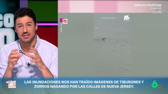Las inundaciones en Nueva York y Nueva Jersey han dejado im&aacute;genes incre&iacute;bles, como las de un tibur&oacute;n paseando por Nueva Jersey o zorros nadando. Francisco Cacho analiza el cicl&oacute;n extratropical, conocido como 'nor'easter' que lo ha provocado.