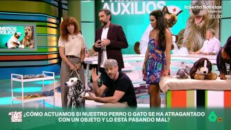 El veterinario indica que nuestra mascota se puede atragantar con cualquier cosa que se meta en la boca, desde un trozo de hueso hasta un juguete. Por ese motivo, es muy importante saber qu&eacute; debemos hacer. 