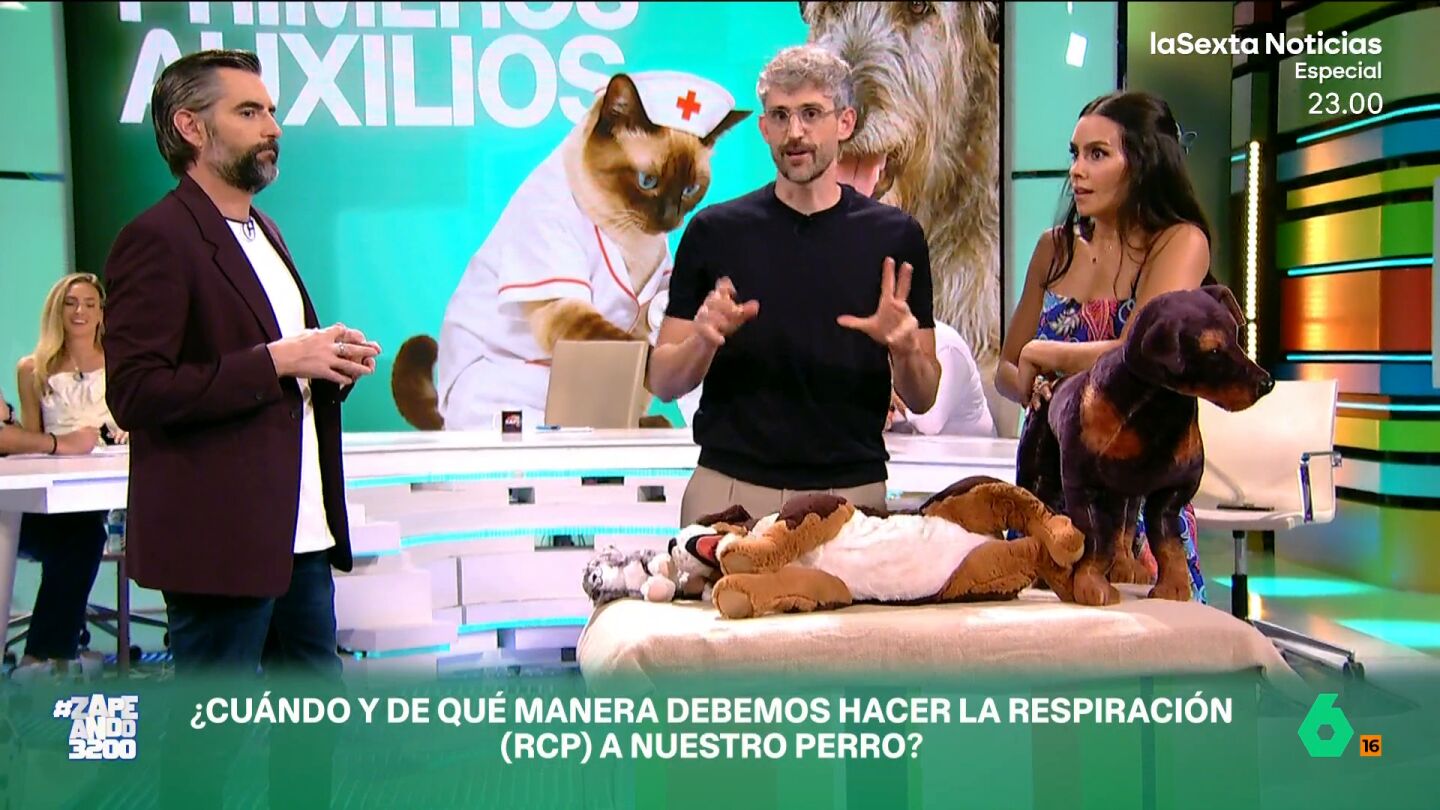 El veterinario muestra en Zapeando cu&aacute;l es el paso a paso de la reanimaci&oacute;n cardiopulmonar. Algra expone que, al igual que en los humanos, se debe hacer a ritmo de 'La Macaranea' o 'Stayin&rsquo; Alive'.