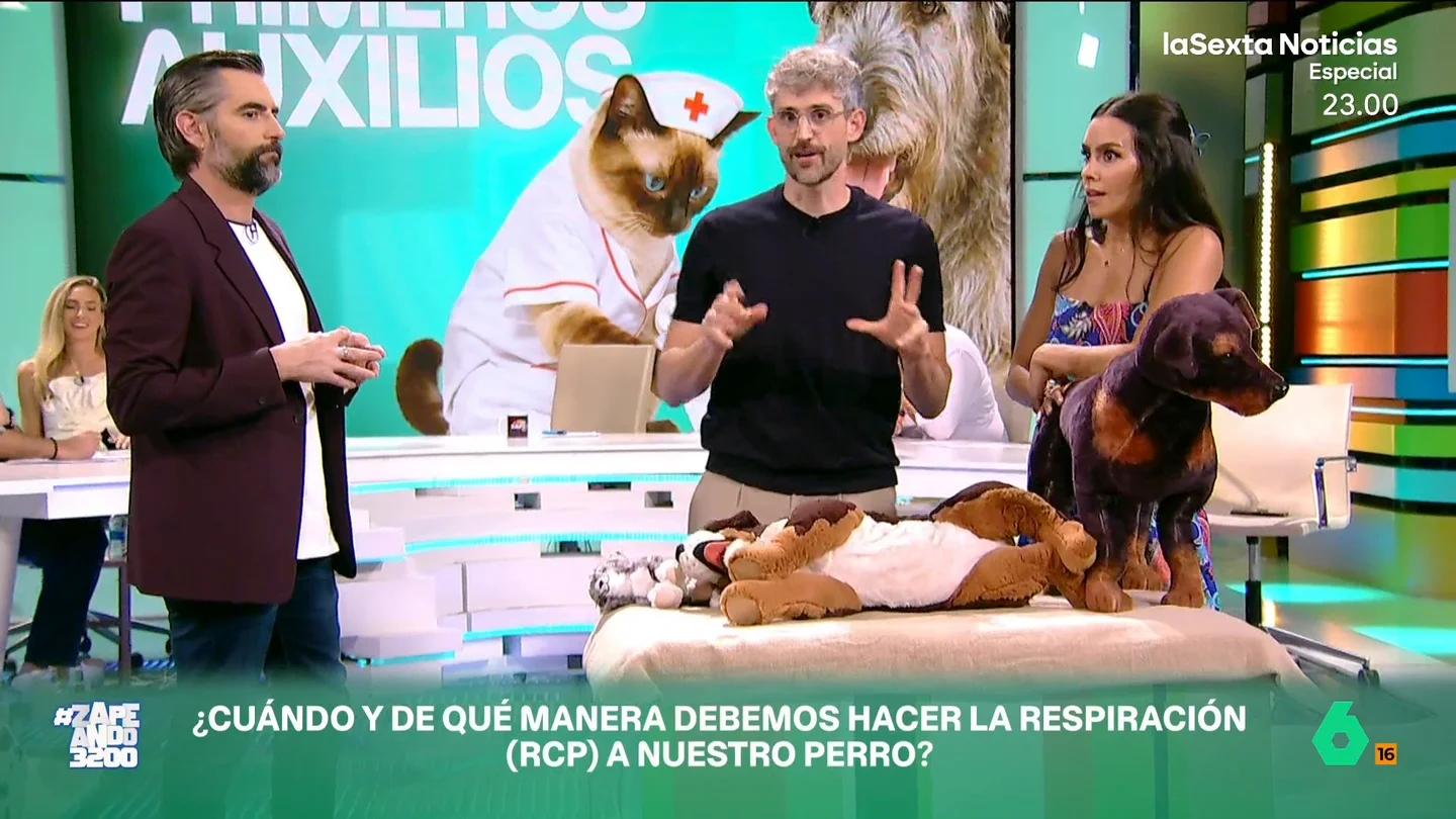 VÍDEO | Víctor Algra explica cómo podemos hacerle una RCP a nuestra mascota El veterinario muestra en Zapeando cuál es el paso a paso de la reanimación cardiopulmonar. Algra expone que, al igual que en los humanos, se debe hacer a ritmo de 'La Macaranea' o 'Stayin’ Alive'.