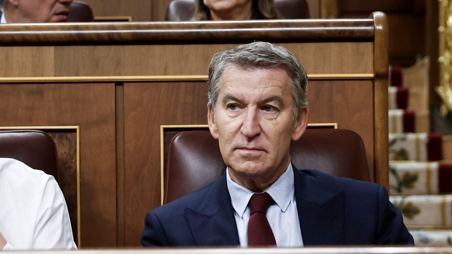 El presidente del Partido Popular, Alberto N&uacute;&ntilde;ez Feij&oacute;o