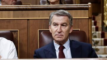 El presidente del Partido Popular, Alberto N&uacute;&ntilde;ez Feij&oacute;o