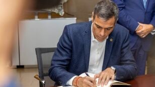 Pedro S&aacute;nchez