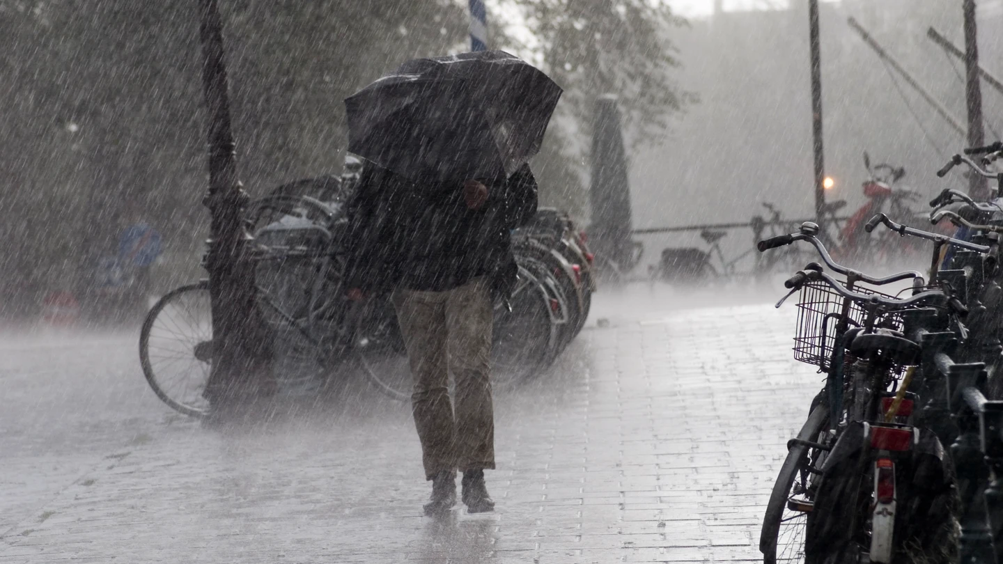 Lluvia Lluvia