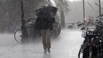 Lluvia Lluvia