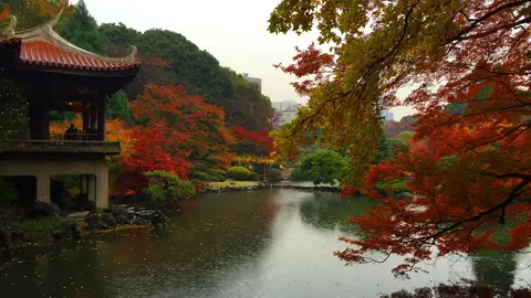 Shinjuku Gyoen en Tokio Shinjuku Gyoen en Tokio