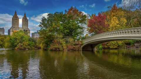 Central Park, Nueva York