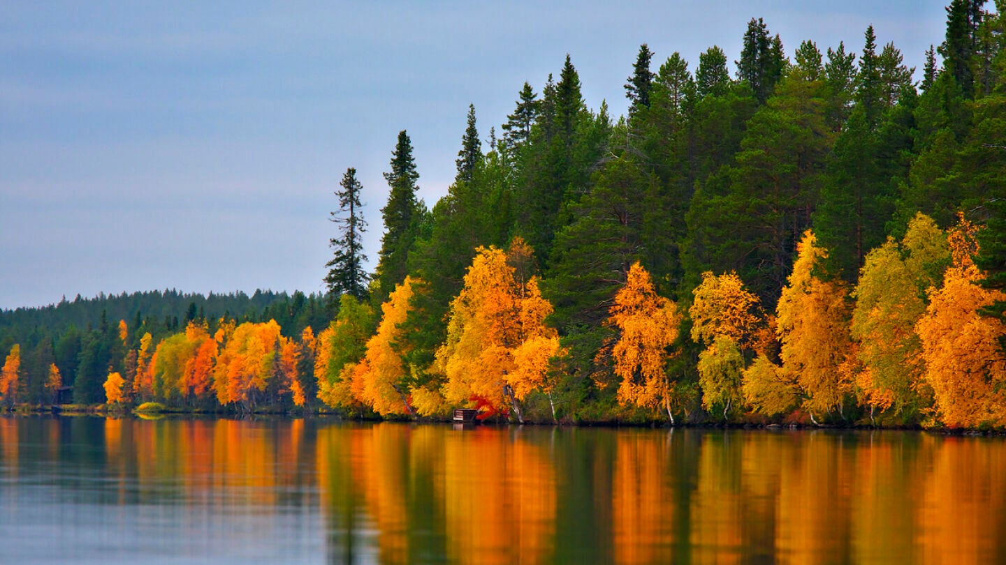 Finlandia en oto&ntilde;o, en "ruska"