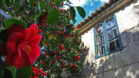 Casa-Museo de Rosalía de Castro