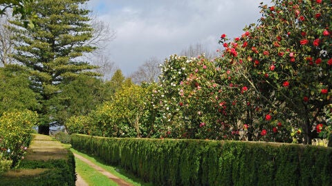 Jardines del Pazo de Rubianes