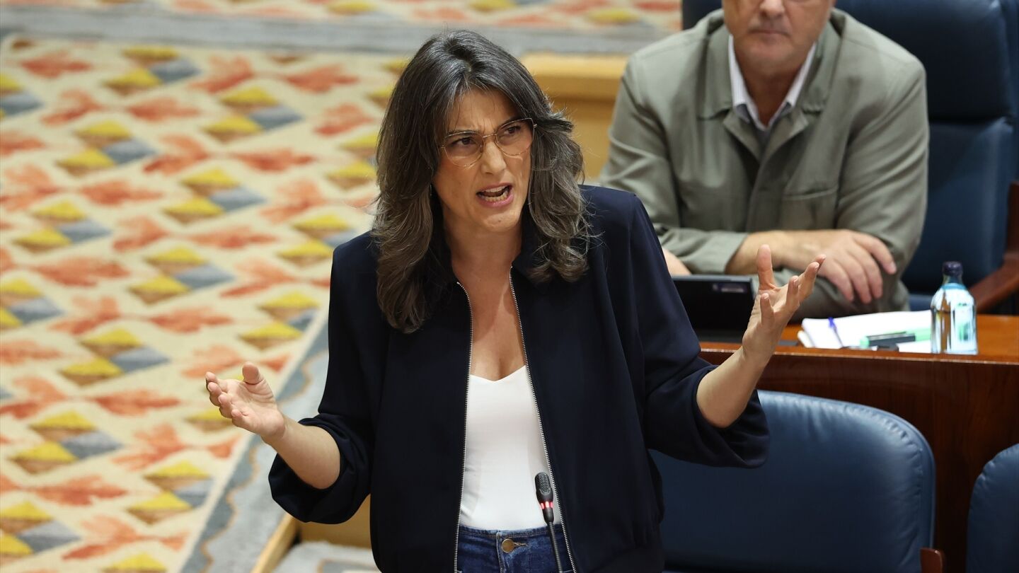 Imagen de archivo de la portavoz de M&aacute;s Madrid en la Asamblea de Madrid, Manuela Bergerot.