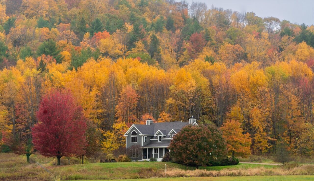 Fall foliage en Vermont