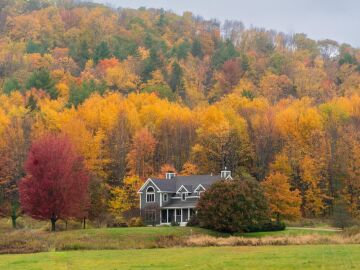 Fall foliage en Vermont