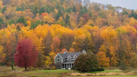Fall foliage en Vermont Fall foliage en Vermont