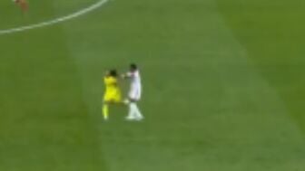 Vin&iacute;cius Jr 
