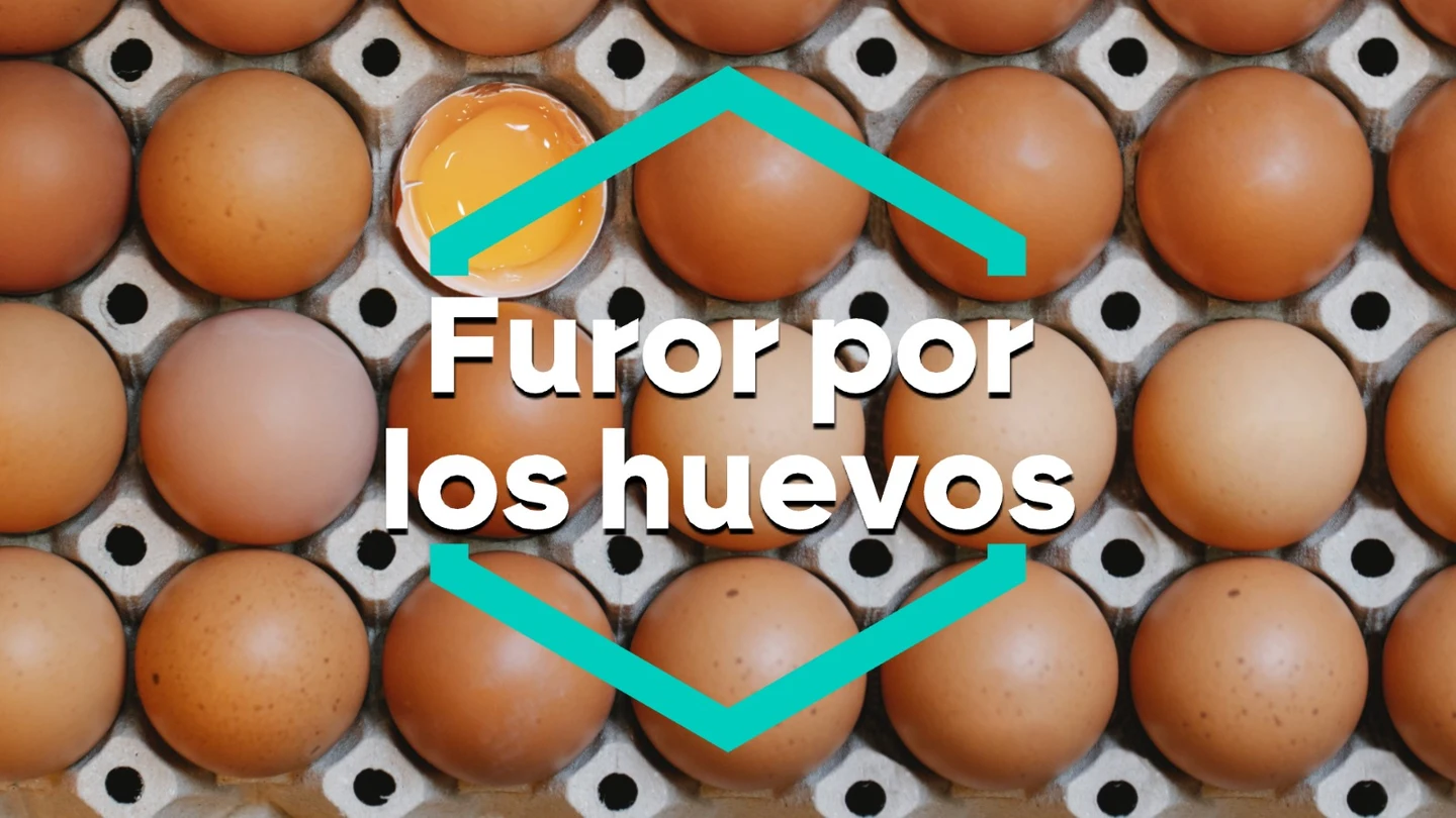 Furor por el huevo Furor por el huevo