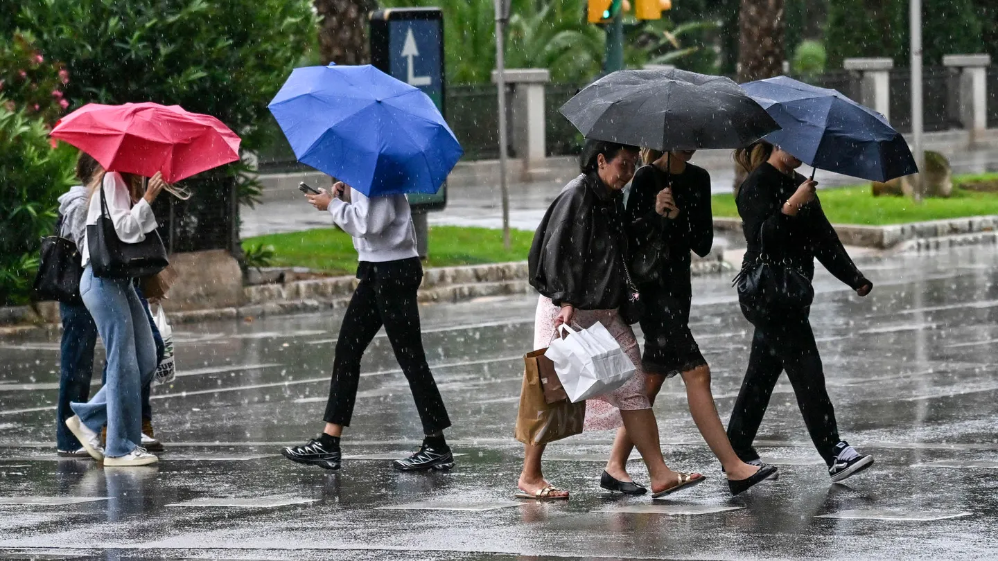 Vista de la lluvia en una calle de Palma este domingo tras el paso de la DANA Adam. Vista de la lluvia en una calle de Palma este domingo tras el paso de la DANA Adam.