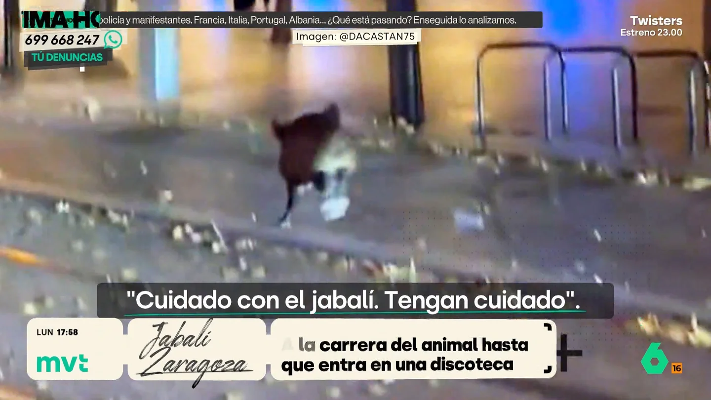 JABALI ZARAGOZA JABALI ZARAGOZA