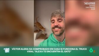 Circula en redes un truco con Alexa que permite encontrar a nuestro gato si no lo vemos por casa. V&iacute;ctor Algra lo ha probado y explica c&oacute;mo esto consigue "activar una respuesta social" en los mininos.