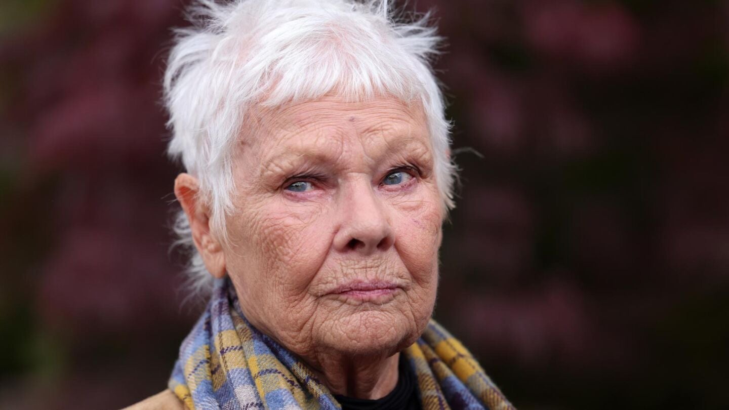 Imagen de archivo de Judi Dench.