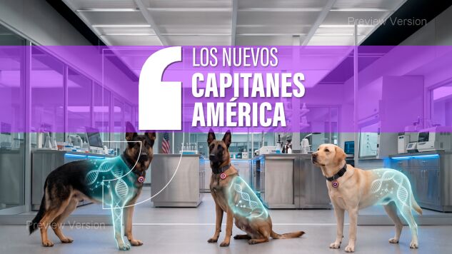 Los superperros de EEUU
