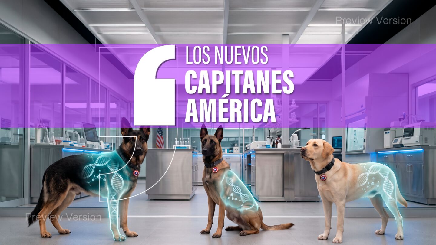 Los superperros de EEUU