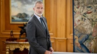 El rey de Espa&ntilde;a, Felipe VI.