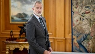 El rey de Espa&ntilde;a, Felipe VI.