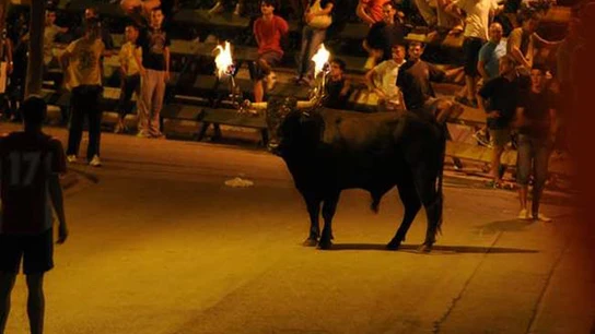 Toro embolado Toro embolado