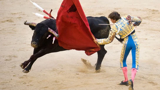 El torero Miguel Tendero en la Monumental de Barcelona El torero Miguel Tendero en la Monumental de Barcelona