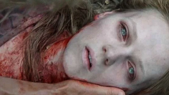 The Walking Dead The Walking Dead