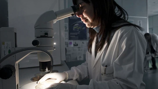 Investigadora en un laboratorio Investigadora en un laboratorio