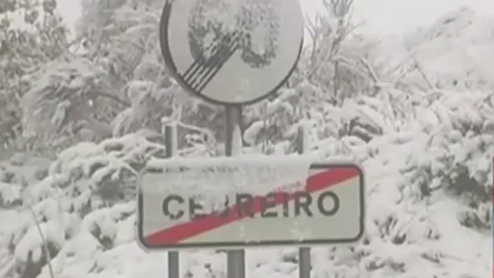 Captura Cebreiro nevado Captura Cebreiro nevado