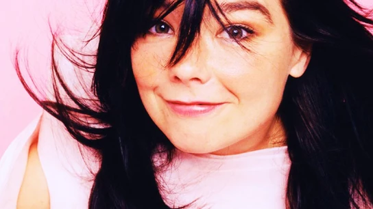 Imagen de archivo de la cantante Björk. Imagen de archivo de la cantante Björk.