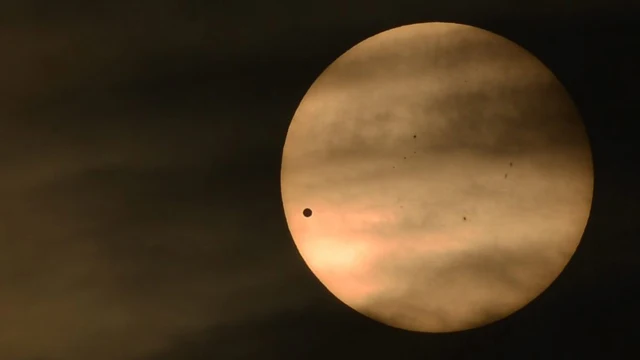 Venus Venus